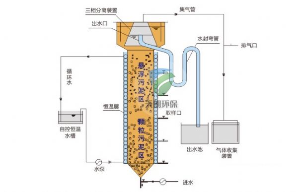 UASB厭氧反應器